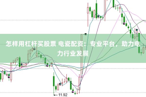怎样用杠杆买股票 电瓷配资：专业平台，助力电力行业发展