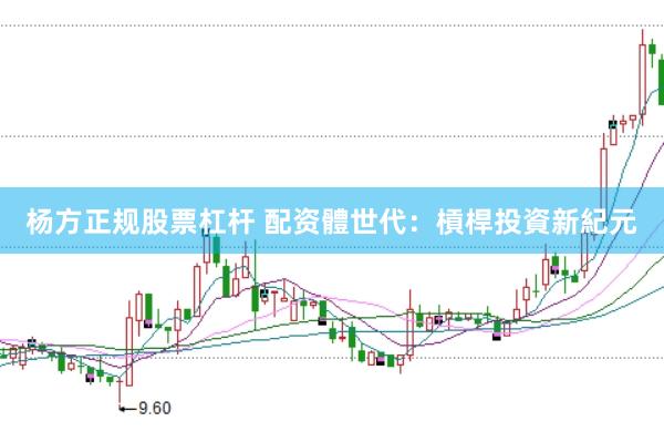 杨方正规股票杠杆 配资體世代：槓桿投資新紀元