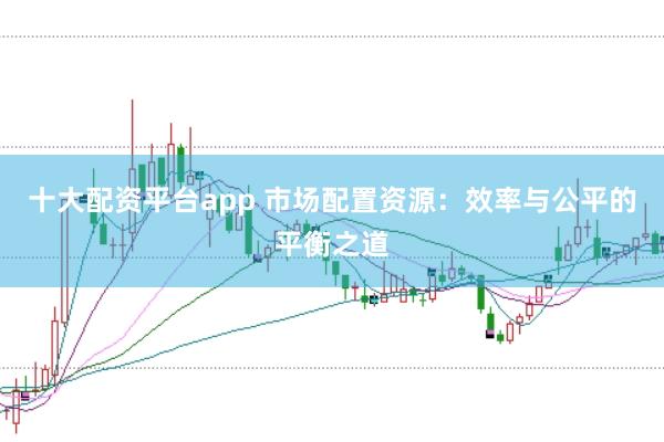 十大配资平台app 市场配置资源：效率与公平的平衡之道