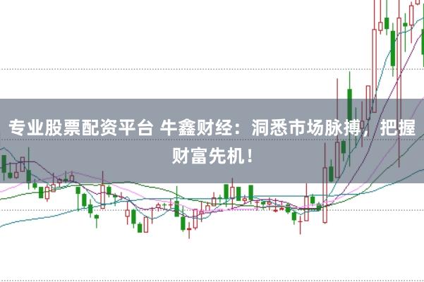 专业股票配资平台 牛鑫财经：洞悉市场脉搏，把握财富先机！