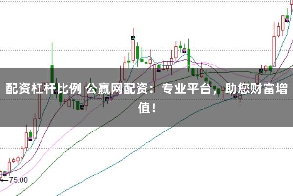 配资杠杆比例 公赢网配资：专业平台，助您财富增值！
